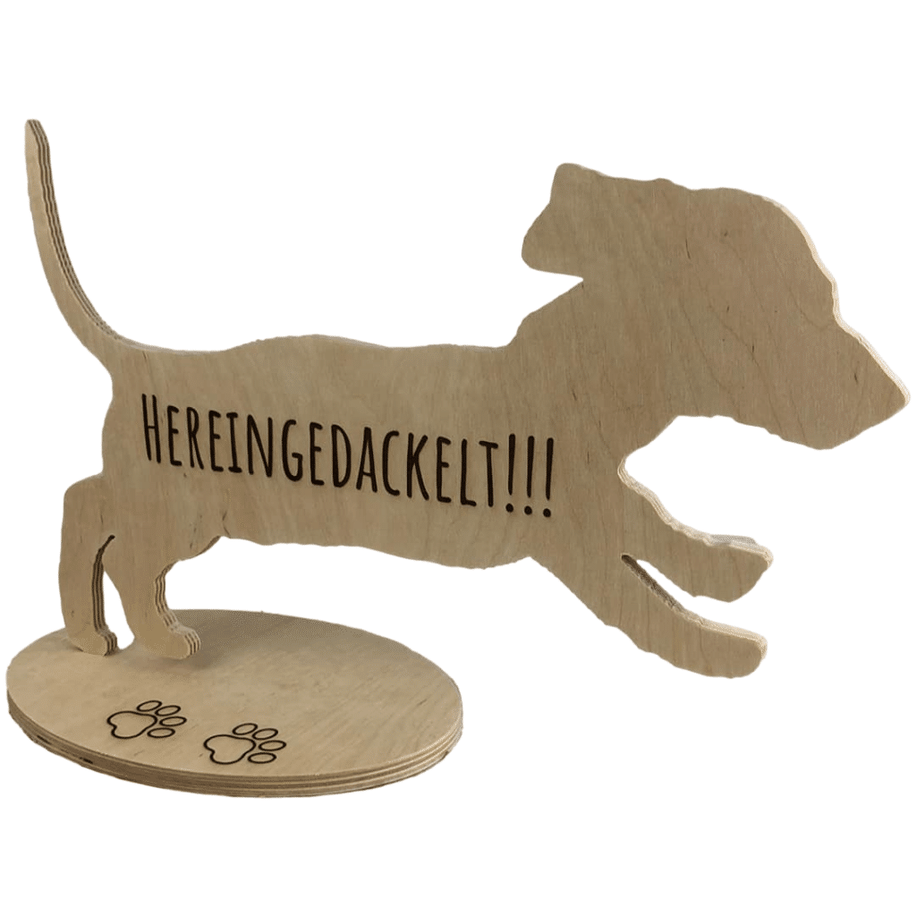 Tuersteher Dackel Hereingedackelt Natur 1 PhotoRoom.png PhotoRoom