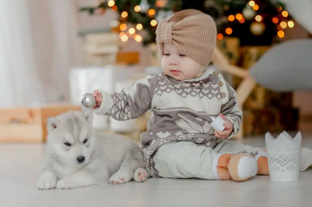 Ist ein Tier als Weihnachtsgeschenk eine gute Idee? Kleines Baby spielt mit Husky-Welpe im Zimmer mit Weihnachtsschmuck und Weihnachtsbaum