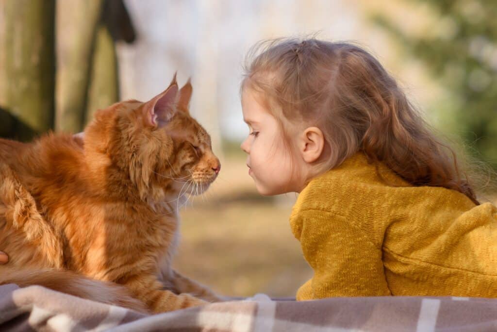 Mädchen mit Maine Coon Katze