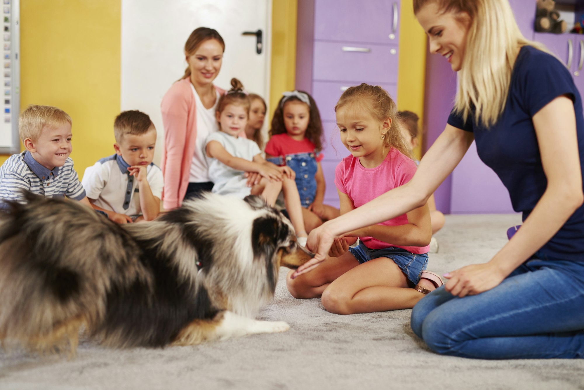 Verändere dein Leben mit einer Tiertherapie