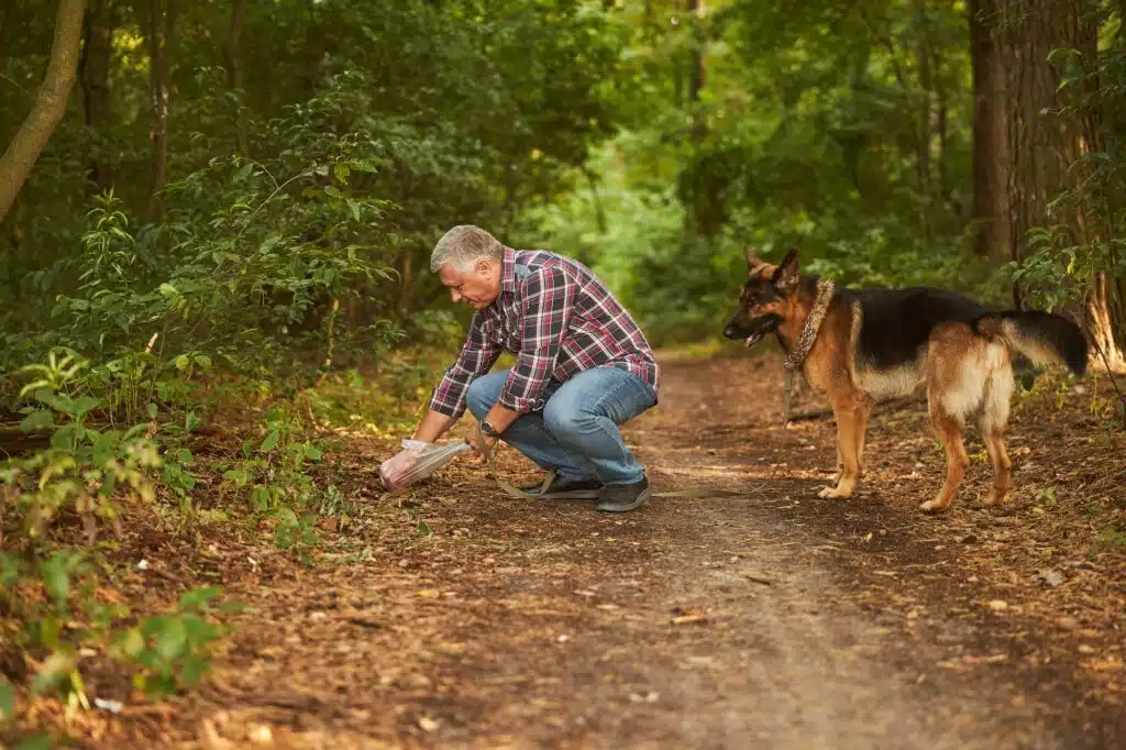 Hundebesitzer säubert die Hinterlassenschaften seines Deutschen Schäferhundes