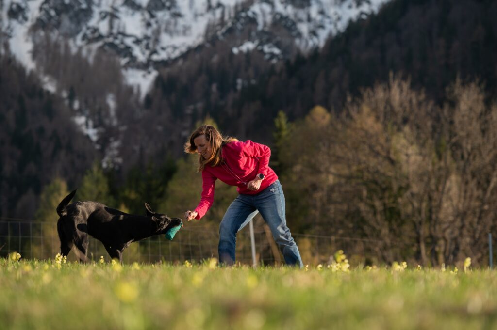 Hundetrainerin spielt mit ihrem Hund