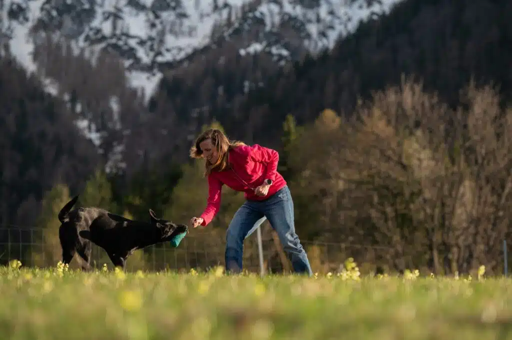 Hundetrainerin spielt mit ihrem Hund