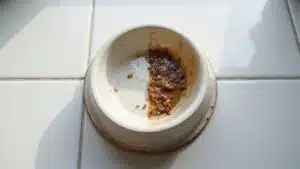 Reinigungshäufigkeit von Napf